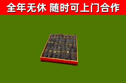 泰和回收海参